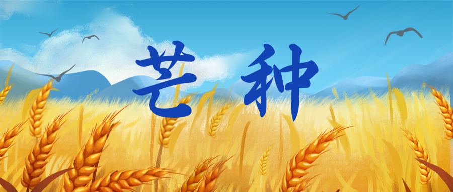 芒種時(shí)節(jié)丨快樂(lè)播種，收獲幸福